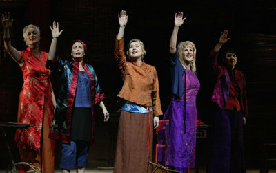 Minefields and Miniskirts (2004)