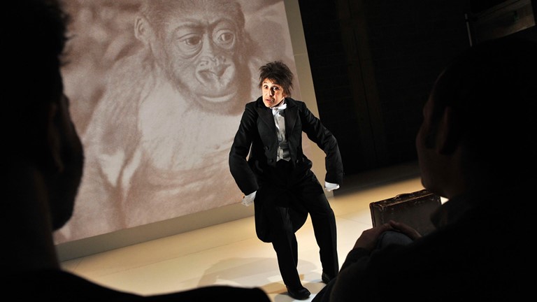 Kafka's Monkey